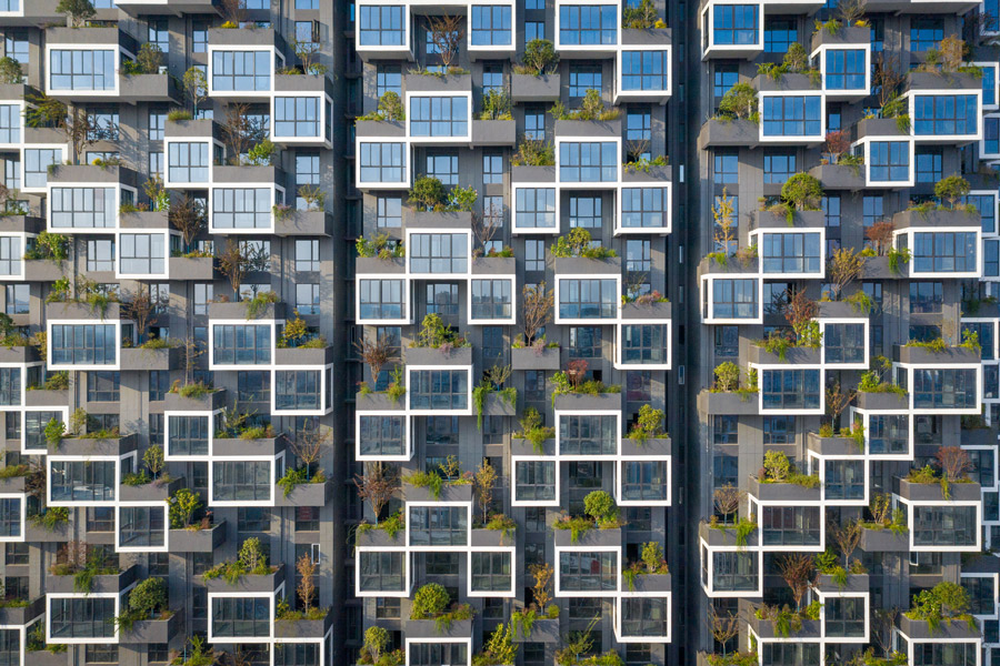 boscoverticalechina_4